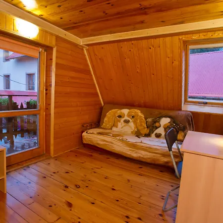 Kosajonka Vakantieboerderij Szczyrk