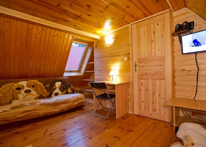 Kosajonka * שצ'צ'ירק