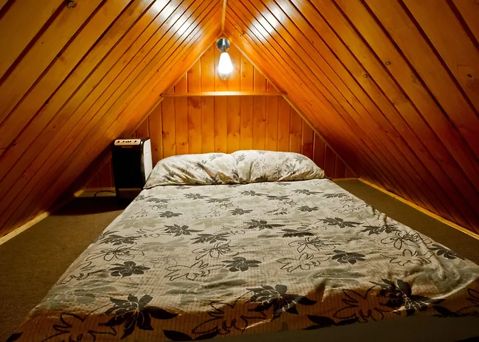 Kosajonka * שצ'צ'ירק