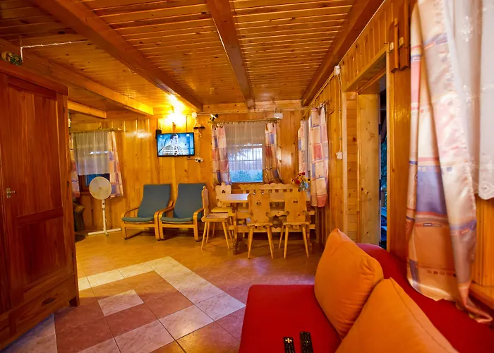 Kosajonka * שצ'צ'ירק