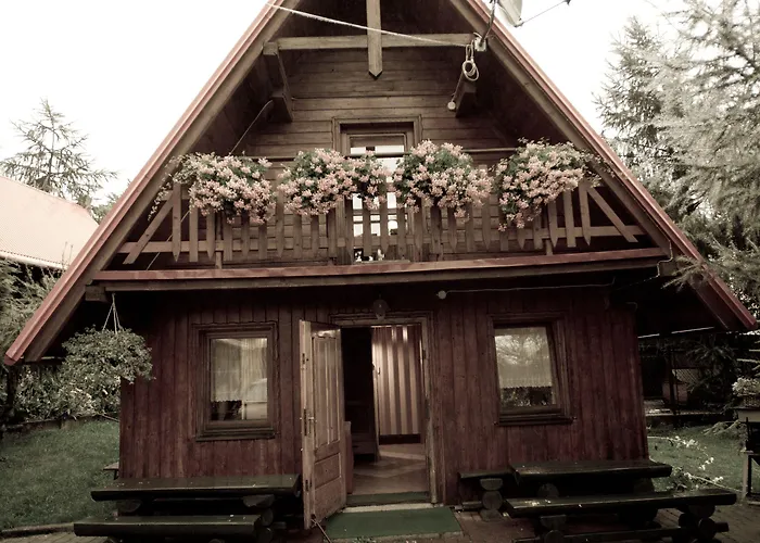 Kosajonka * שצ'צ'ירק