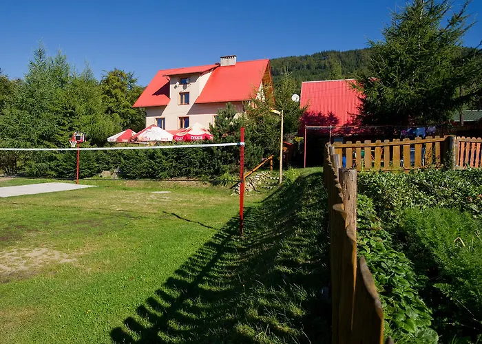 Kosajonka שצ'צ'ירק