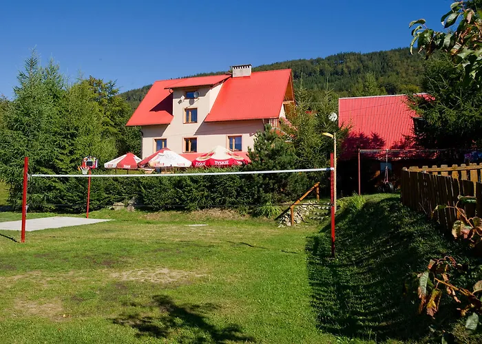 Kosajonka שצ'צ'ירק