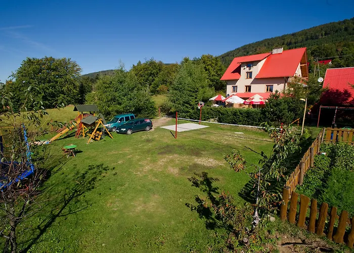 Kosajonka * שצ'צ'ירק